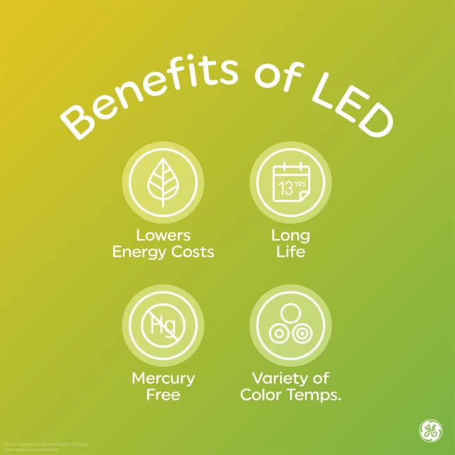 Alt view image 6 of 7 - LED+ Dusk to Dawn LED Light Bulbs, Security Lights, 60 Watt Replacement, Decorative ST19 Bulbs, Medium Base, Color Select (2 Pack)