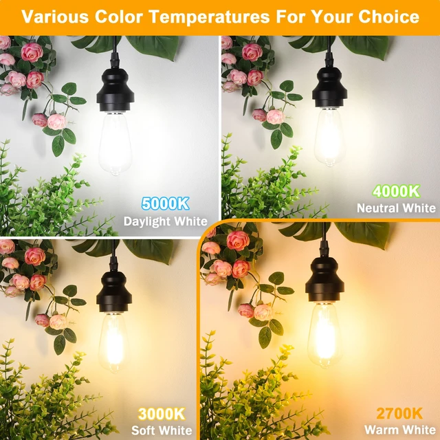 Alt view image 3 of 7 - 4-Pack Vintage Edison Bulbs 60W Equivalent, 850LM 6W LED Light Bulb Warm White 2700K, ST58 Filament Lighting E26 Base, Non-Dimmable