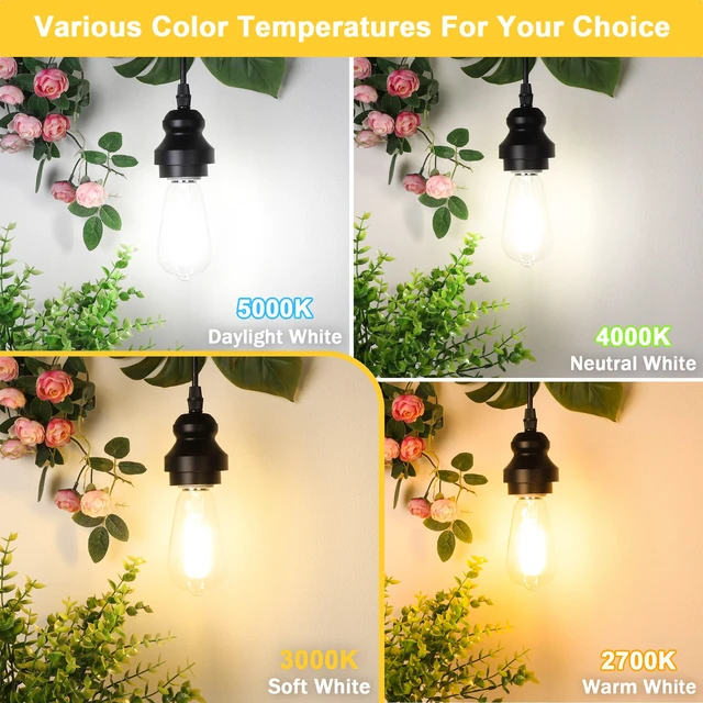 Alt view image 3 of 7 - 4-Pack Vintage Edison Bulbs 60W Equivalent, 850LM 6W LED Light Bulb Soft White 3000K, ST58 Filament Lighting E26 Base, Non-Dimmable