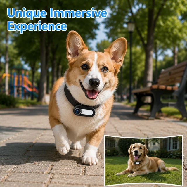 Alt view image 5 of 7 - HD 1080P Cat Camera Collar with Video Record Wireless Mini Sport cam,Small Action Cameras,Body Camera for Pet Supplies/Stuff,Outdoor/Inoor Birthday Gift No WiFi