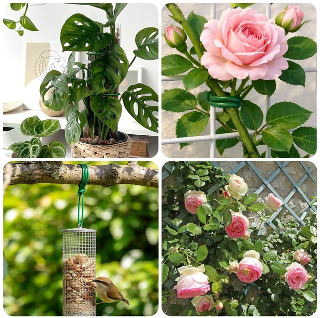 Alt view image 7 of 7 - Green Garden Wire with Pliers - 132 Feet 3.5mm Garden Ties Soft Plant Twist Ties Plant Wire for Climbing Plants Tomatoes Support Vines Vegetables Flowers Indoor & Outdoor Gardening Training