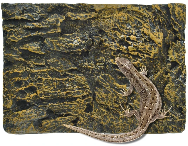 Main image of Reptile Tank Background Board Rock Terrarium Cork Background Board 3D Wall Backdrop Aquarium DéCor Backgrounds Amphibian Habitat Decoration for Lizards Leopard Gecko Bearded Dragons Turtle