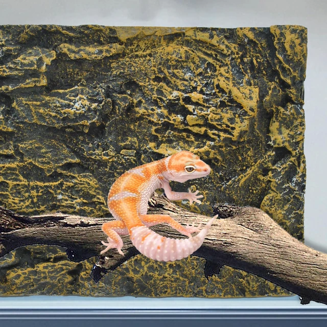 Alt view image 7 of 7 - Reptile Tank Background Board Rock Terrarium Cork Background Board 3D Wall Backdrop Aquarium DéCor Backgrounds Amphibian Habitat Decoration for Lizards Leopard Gecko Bearded Dragons Turtle