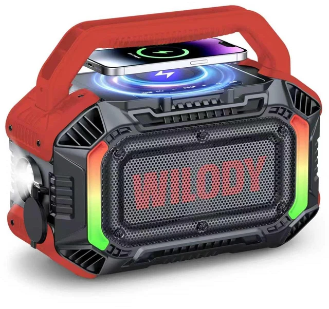 Main image of Speakers Bluetooth Wireless, 100W Loud Outdoor Speaker with Bass, IPX7 Waterproof Floatable, 20H Playtime, RGB Light, Portable Speaker with TWS for Work, Outdoor, Garage, Camping (L-Crimson)