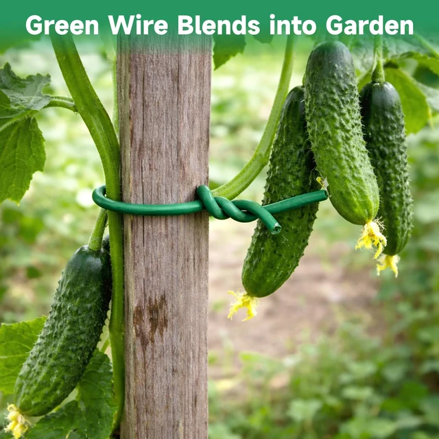 Alt view image 6 of 7 - Green Garden Wire with Pliers - 132 Feet 2.5mm Garden Ties Soft Plant Twist Ties Plant Wire for Climbing Plants Tomatoes Support Vines Vegetables Flowers Indoor & Outdoor Gardening Training