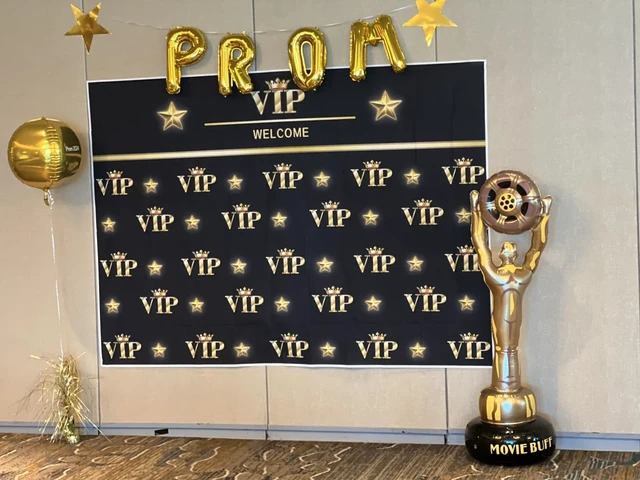 Alt view image 3 of 6 - VIP Red Carpet Backdrop 10x8ft Gala Party Event Photo Booth Luxury Decor VIP red carpet backdrop, perfect for birthday, gala, photo booth, party events. Durable vinyl HD print, easy hang