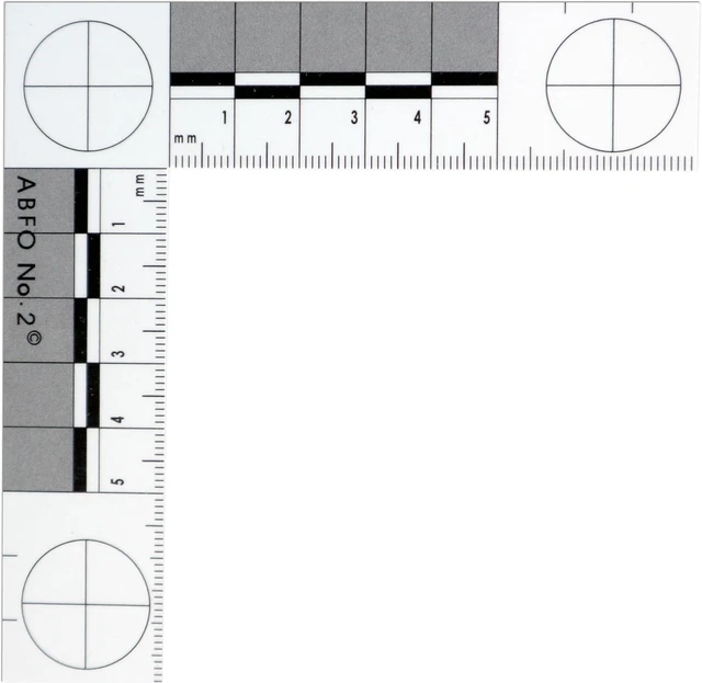 Main image of Photomacrographic Scale (No.2-Metric)