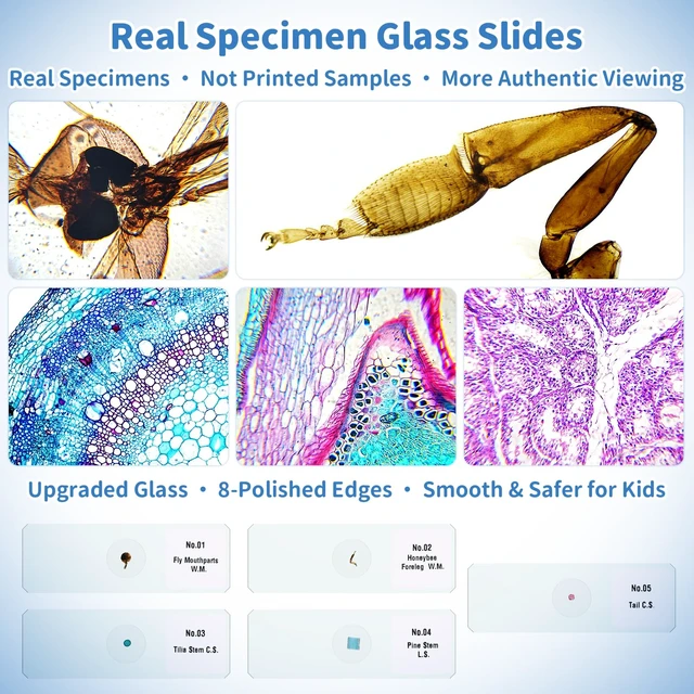 Alt view image 4 of 7 - Kids Handheld Digital Microscope 1000X: Science Gift Kit STEM Toy Ages 5-13 8GB SD Card for Photo/video, Rechargeable, 2.4" Screen, 8 LEDs, Portable Magnifying Glass Pocket Miniscope for Girls Boys