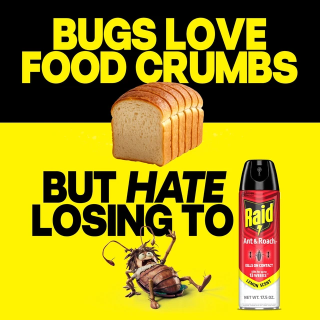 Alt view image 6 of 6 - Raid Ant & Roach Killer Bug Spray, Lemon Scent, 17.5 Oz