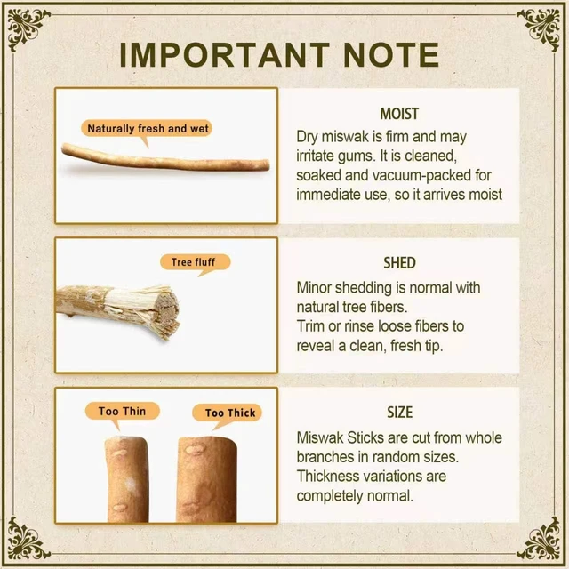 Alt view image 6 of 6 - Miswak (Sewak) Sticks Pack of 2 - Vacuum Sealed Traditional Natural Toothbrush for Healthy Teeth, Gums and Fresh Breath