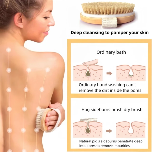 Alt view image 4 of 7 - 2 Pcs Natural Bristle Dry Brushing Body Brush, Exfoliating Bath Brush