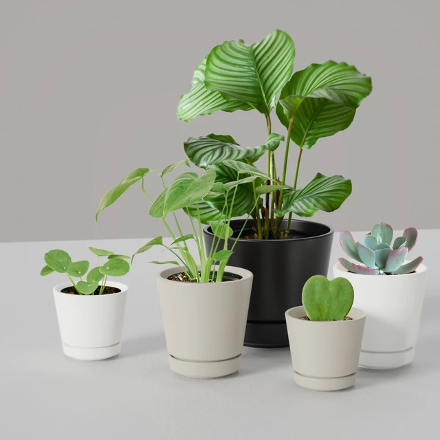 Alt view image 3 of 6 - Mainstays Core 5.9in x 5.9in x 6.1in Round Vanilla Dream Plastic Planter