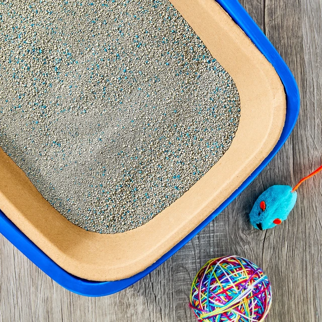 Alt view image 5 of 6 - Vibrant Life Disposable Water-Resistant Cat Litter Box, 3 Count