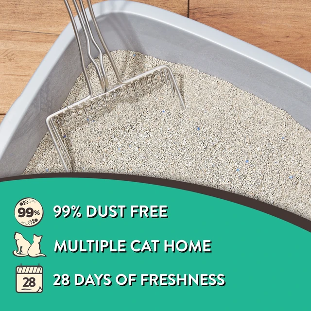 Alt view image 5 of 7 - Special Kitty Tight Clumping Clay Cat Litter, Fresh Scent, 20 lb Jug, 1 Count