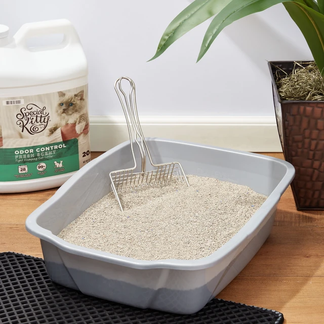 Alt view image 6 of 7 - Special Kitty Tight Clumping Clay Cat Litter, Fresh Scent, 20 lb Jug, 1 Count