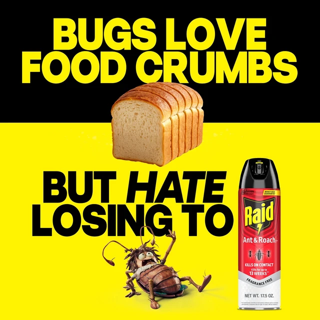 Alt view image 5 of 6 - Raid Ant & Roach Insect Killer, Fragrance Free, 17.5 oz