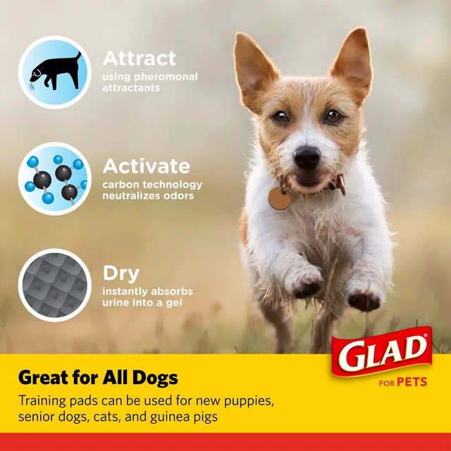 Alt view image 3 of 5 - Glad Activated Charcoal Leak-Resistant Training Pads for Dogs, 23in x 23in, 14 Count