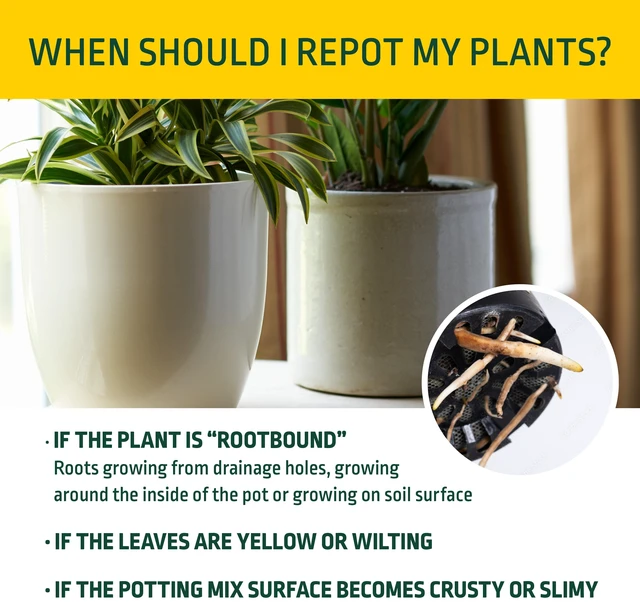 Alt view image 5 of 5 - Expert Gardener 1 Cu. Ft. Potting Mix for Indoor and Outdoor Potted Plants
