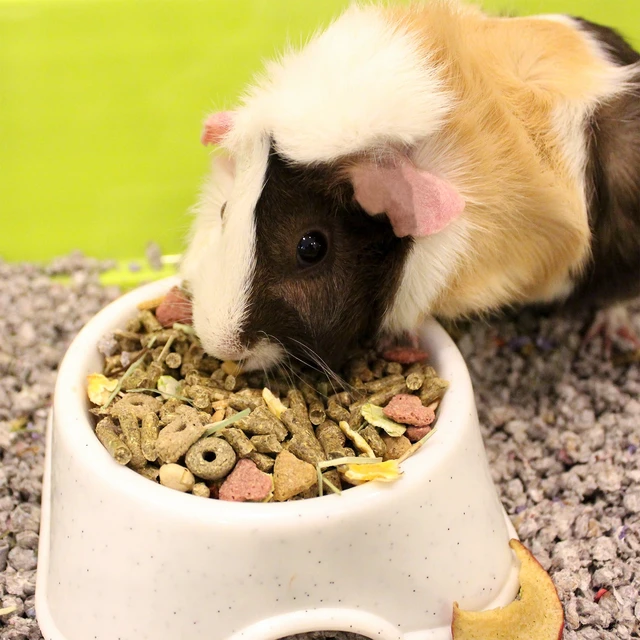 Alt view image 2 of 4 - Vitakraft Menu Premium Guinea Pig Food 8lbs