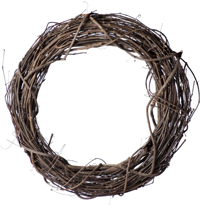 Main image of ProFlora Grapevine Brown Wreath 12"