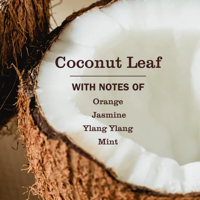 Alt view image 6 of 6 - Mrs. Meyer's Clean Day Pet Odor Neutralizer, Coconut Leaf Scent, 12oz