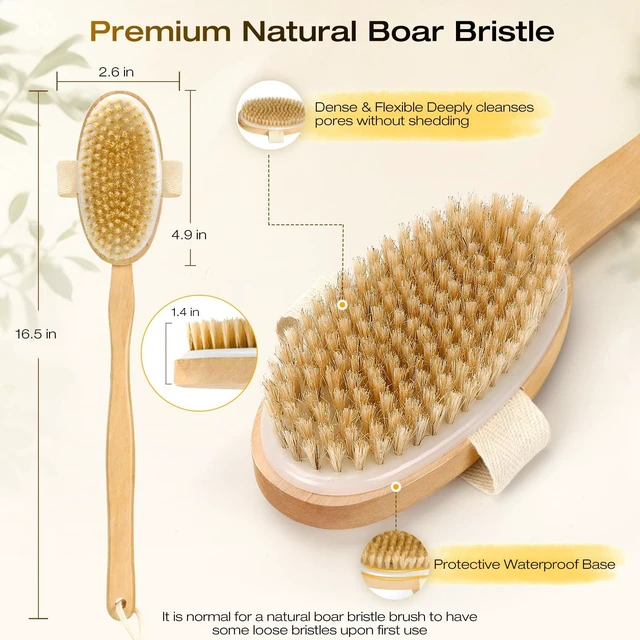 Alt view image 7 of 7 - Natural Bristle Long Handle Dry Brushing Back Brush
