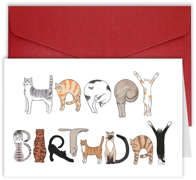 Main image of Funny Cats Happy Birthday Card For Cat Lovers, Humor Cat Owner Gift For Men Women Dad Mom Brother Sister