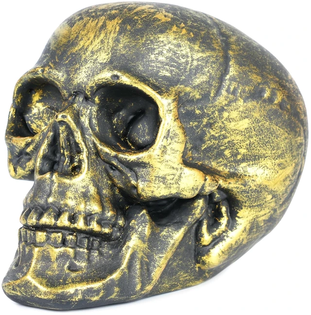 Main image of H&W Skull Money Bank for Halloween, Skeleton Coin Bank (Golden)