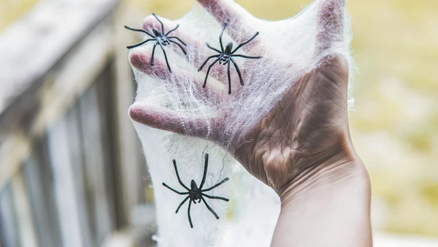 Alt view image 6 of 6 - Halloween Spider Web Decoration, 800 Sqare Feet & Plastic Spiders, Halloween Party Supplies, Spider Webs (Large, 800 Sq Feet)