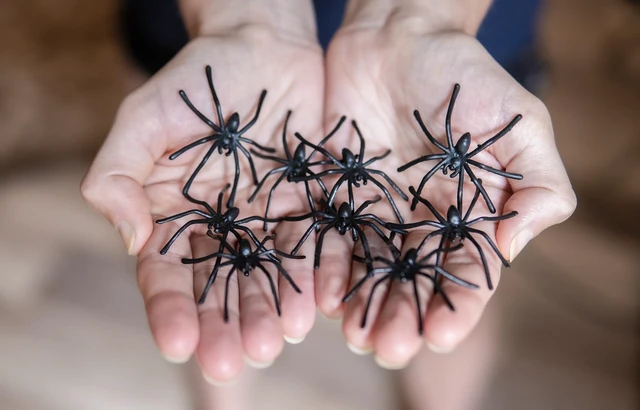 Alt view image 3 of 6 - Halloween Spider Web Decoration, 800 Sqare Feet & Plastic Spiders, Halloween Party Supplies, Spider Webs (Large, 800 Sq Feet)