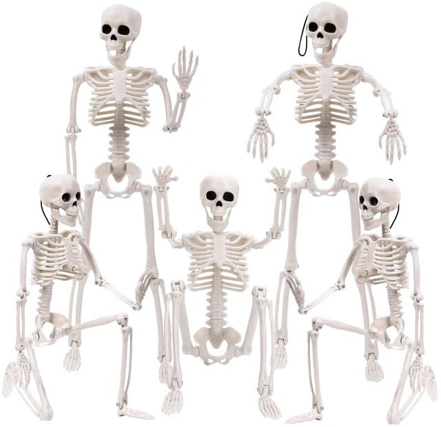 Main image of XIMISHOP 5pcs Halloween Skeleton Decoration, 16Full Body Posable Skeleton