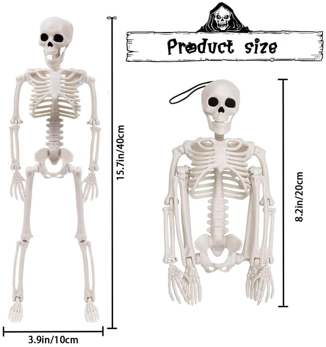 Alt view image 3 of 6 - XIMISHOP 5pcs Halloween Skeleton Decoration, 16Full Body Posable Skeleton
