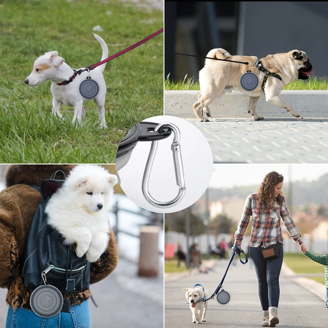 Alt view image 4 of 7 - SLSON Dog Bowls Pet Collapsible Bowl with Cover Lids,2 Pack Dog Travel Bowls Portable Foldable Cat Water Dish Bowl for Pets Walking Parking Camping (Taro Purple and Concrete Gray, Small)
