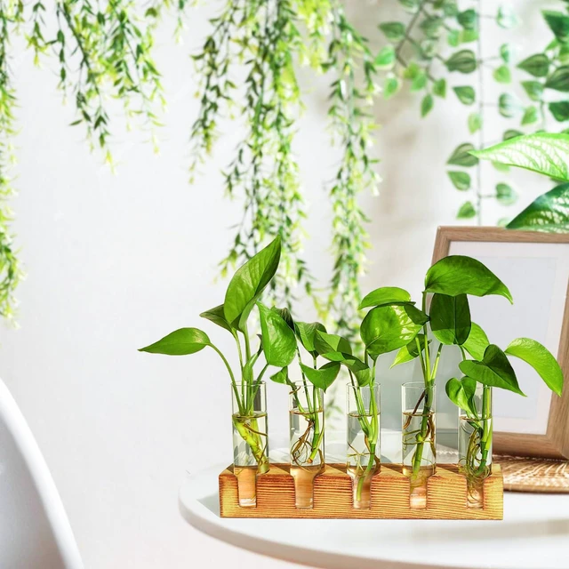 Alt view image 3 of 7 - Plant Propagation Station, Plant Terrarium with Wooden Stand | Plants Pots for Hydroponics, Small Birthday Gardening Gifts for Women Mom Plants Lovers Unique - 5 Glass Test Tubes Vases