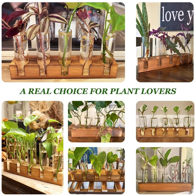 Alt view image 5 of 7 - Plant Propagation Station, Plant Terrarium with Wooden Stand | Plants Pots for Hydroponics, Small Birthday Gardening Gifts for Women Mom Plants Lovers Unique - 5 Glass Test Tubes Vases