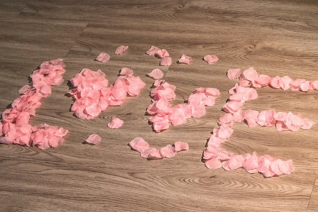 Alt view image 3 of 7 - 1500PCS Pink Rose Petals Silk Rose Petals for Romantic Night for Her Set Wedding,Party,Proposal Anniversary Decorations