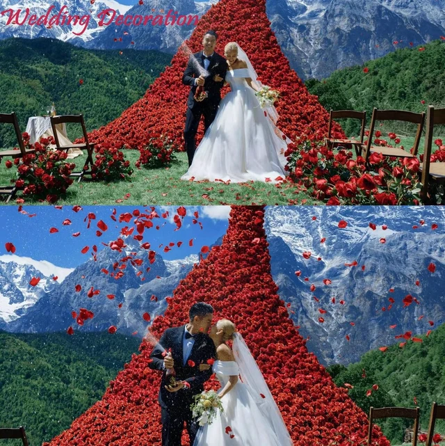 Alt view image 2 of 7 - 2200 PCS Dark-Red Silk Rose Petals for Romantic Night,Wedding,Proposal Anniversary Flower Decorations