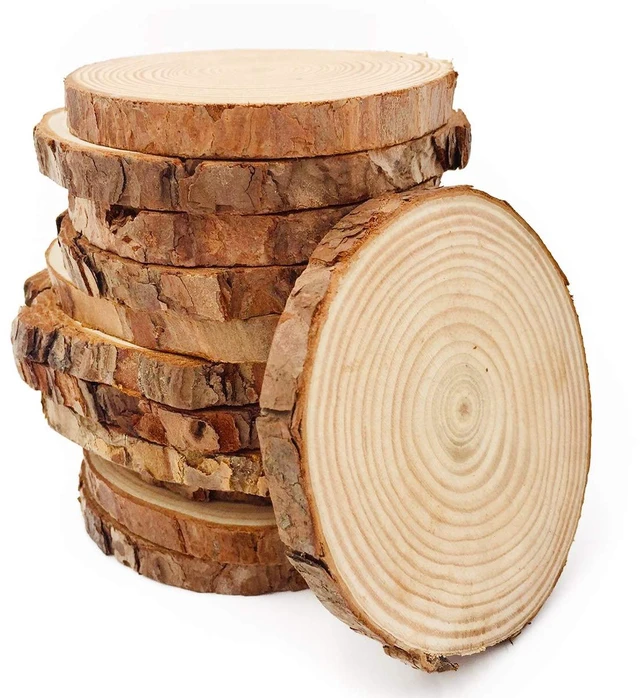 Main image of Natural Wood Slices 12 Pcs 3.5-4 inch Craft Wood kit Circles Crafts Christmas Ornaments DIY Crafts with Bark for Crafts Rustic Wedding Decoration by William Craft (3.5-4inch)