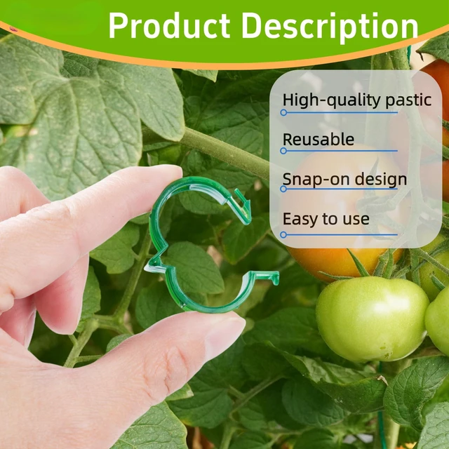 Alt view image 4 of 7 - 100 Pcs Plant Support Clips,Plastic Clips for Securing Plants | Plant Fixing Clips,Tomato Vine Clips,Garden Clips for Climbing Plants,Grape and Vine Vegetables,Reusable(100, Green)