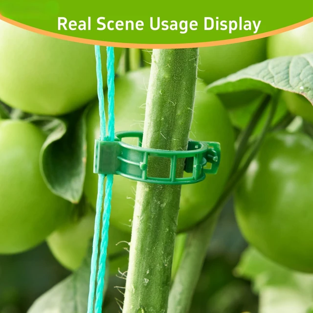 Alt view image 5 of 7 - 100 Pcs Plant Support Clips,Plastic Clips for Securing Plants | Plant Fixing Clips,Tomato Vine Clips,Garden Clips for Climbing Plants,Grape and Vine Vegetables,Reusable(100, Green)