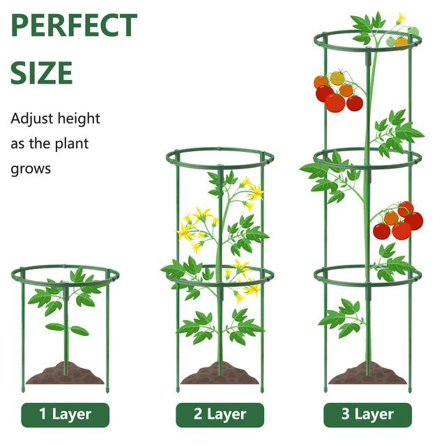 Alt view image 2 of 5 - 12Packs Plant Support Stakes Half Round Plant Stakes for Indoor Plants, Stackable 3 Tier Garden Flower Support, Plant Cages for Tomato,Monstera, Peony, Hydrangea, Climbing Plants