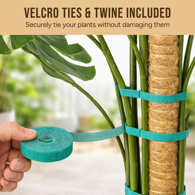 Alt view image 3 of 7 - 29" Moss Pole Monstera Plant Support, Indoor Plant Stakes | 2 Pack Bendable Stakes Prevents Climbing Plants from Flopping