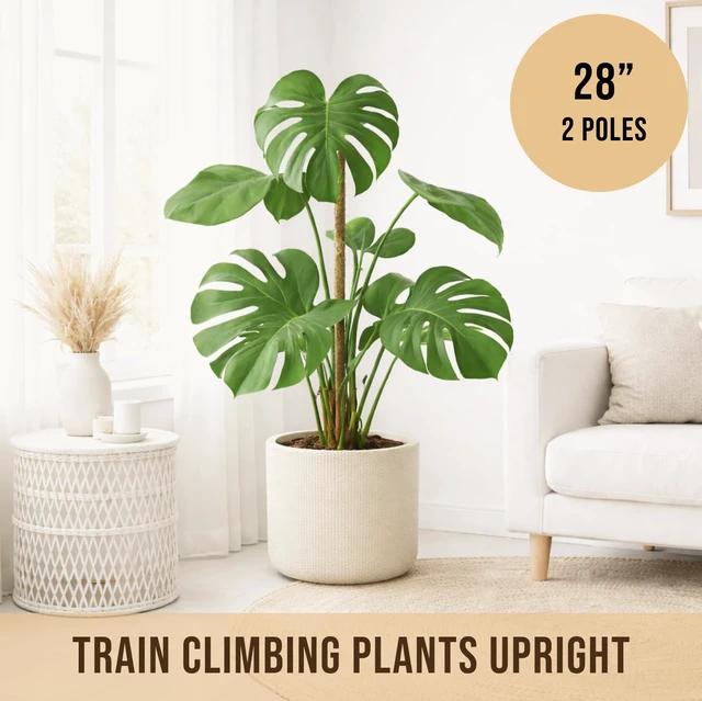 Alt view image 4 of 7 - 29" Moss Pole Monstera Plant Support, Indoor Plant Stakes | 2 Pack Bendable Stakes Prevents Climbing Plants from Flopping