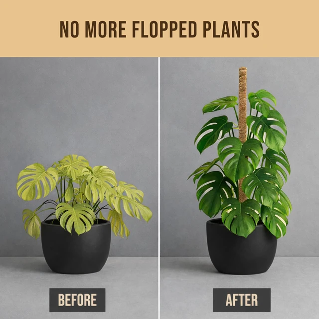Alt view image 7 of 7 - 29" Moss Pole Monstera Plant Support, Indoor Plant Stakes | 2 Pack Bendable Stakes Prevents Climbing Plants from Flopping