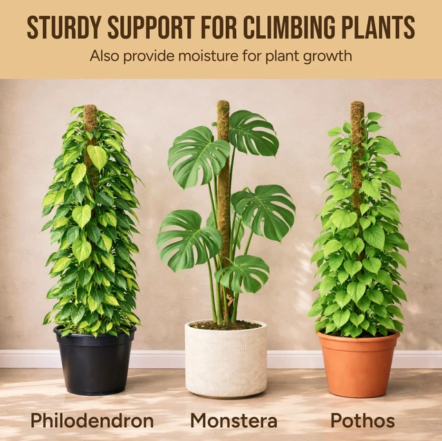 Alt view image 5 of 7 - 29" Moss Pole Monstera Plant Support, Indoor Plant Stakes | 2 Pack Bendable Stakes Prevents Climbing Plants from Flopping