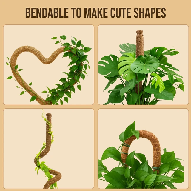 Alt view image 6 of 7 - 29" Moss Pole Monstera Plant Support, Indoor Plant Stakes | 2 Pack Bendable Stakes Prevents Climbing Plants from Flopping
