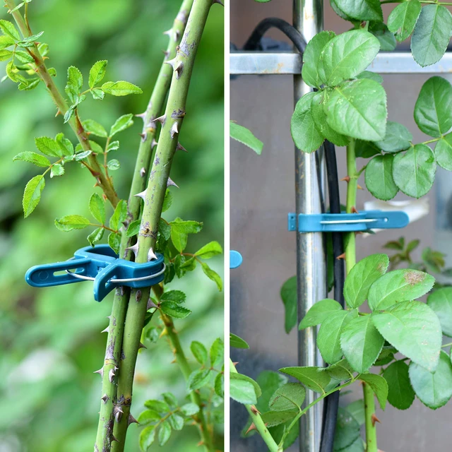 Alt view image 6 of 7 - 60PCS Plant Clips 2 Sizes Adjusting Reusable Garden Plant Supports Clips for Supporting Stems of Flower Vine Vegetables Tomatoes Climbing