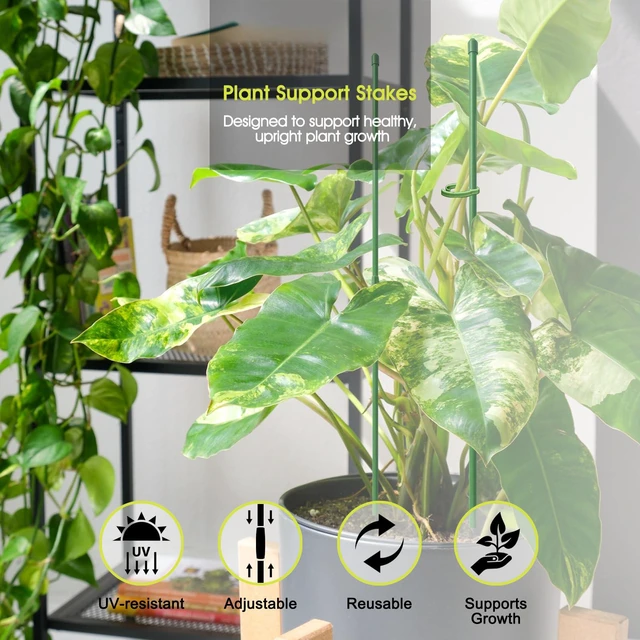 Alt view image 2 of 7 - Plant Stakes for Indoor Plants, 14 Inch Plant Support Stakes, 6 PCS | Tall Adjustable Garden Plant Sticks, with Clips for Indoor Monstera Tomato Orchid Potted Plants Flower, Green
