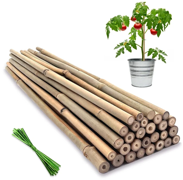 Main image of Plant Stakes,18IN Natural Garden Bamboo Sticks, 20Pcs Plant Support Stakes | with 20Pcs Green Ties, Bamboo Sticks for Plants,Garden Stakes for Plants,Tomatoes, Beans, Vegetable and Potted Plants