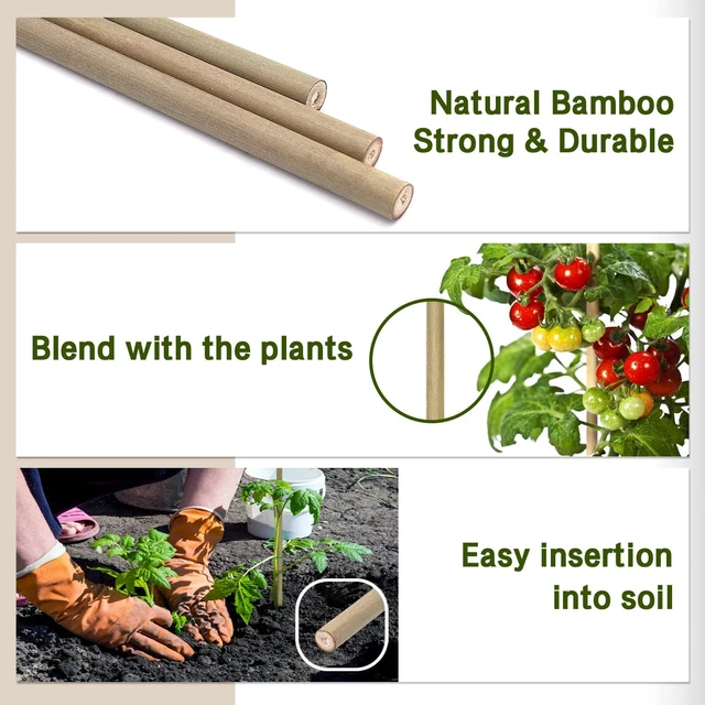 Alt view image 2 of 6 - Plant Stakes,18IN Natural Garden Bamboo Sticks, 20Pcs Plant Support Stakes | with 20Pcs Green Ties, Bamboo Sticks for Plants,Garden Stakes for Plants,Tomatoes, Beans, Vegetable and Potted Plants
